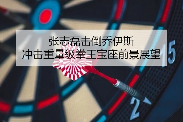 张志磊击倒乔伊斯 冲击重量级拳王宝座前景展望